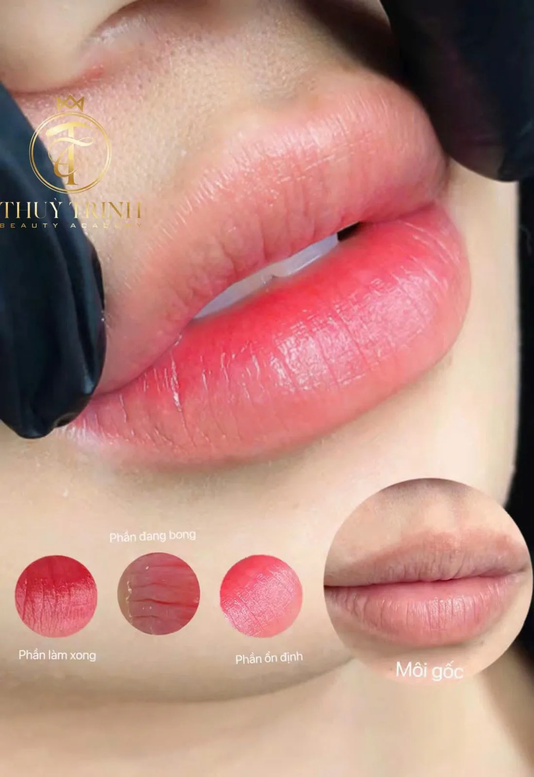 Tiến trình lên màu môi: Vừa làm xong → Đang bong → Ổn định tự nhiên